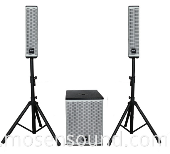 Column Speaker System